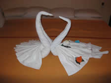 Swan Towels